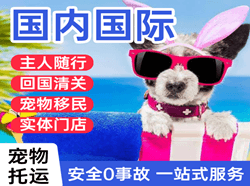 肥东白龙空运国际宠物托运 【国